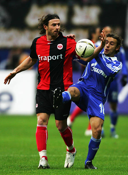 入了信心 入了信心